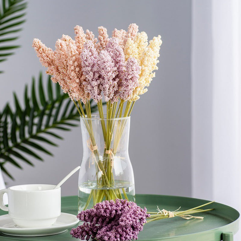 Corn Ear Plant