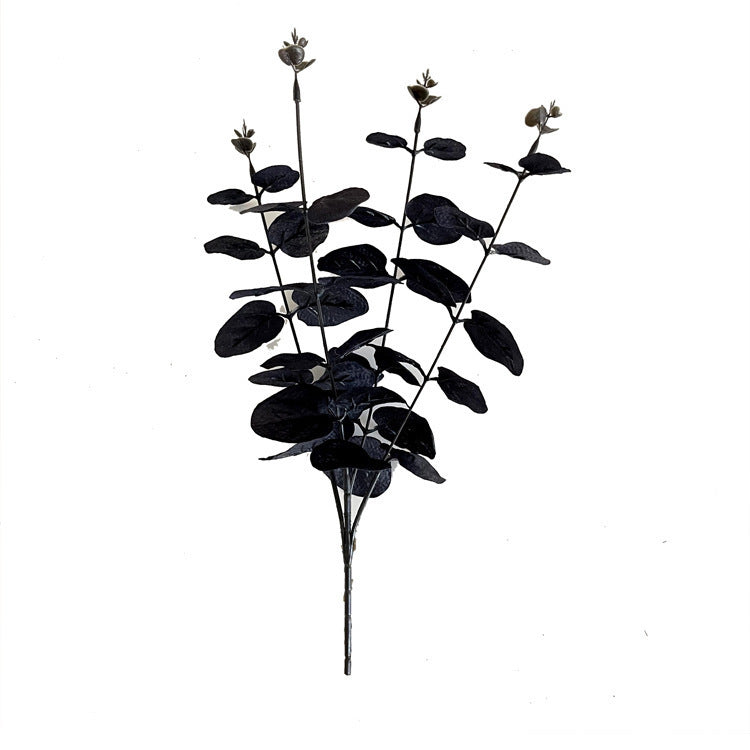 Black Zamioculcas Leaves