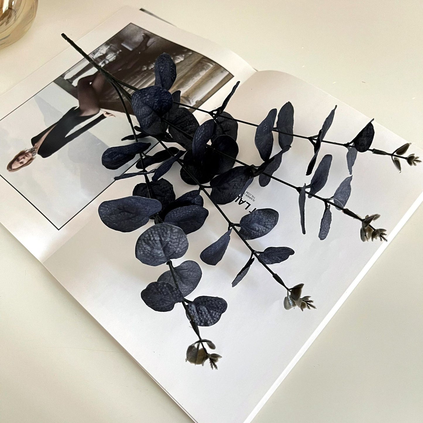 Black Zamioculcas Leaves